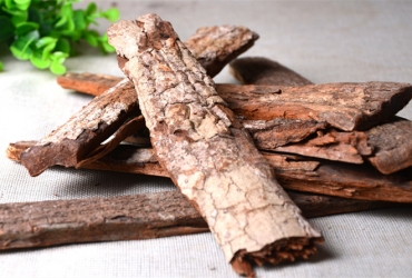 木屑顆粒機加工廢舊木材變廢為寶