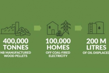 本地木屑顆粒是滿足能源需求的明智和負責任的解決方案